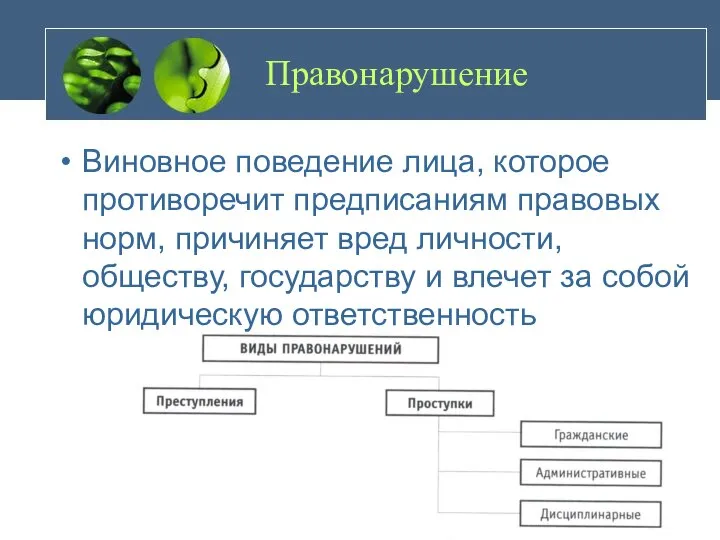 Правонарушение Виновное поведение лица, которое противоречит предписаниям правовых норм, причиняет вред