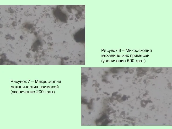 Рисунок 7 – Микроскопия механических примесей (увеличение 200 крат) Рисунок 8