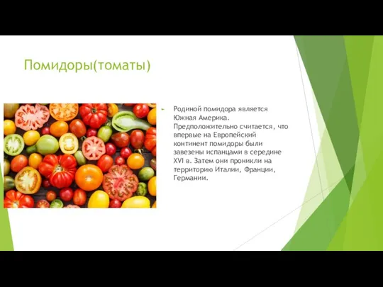 Помидоры(томаты) Родиной помидора является Южная Америка. Предположительно считается, что впервые на