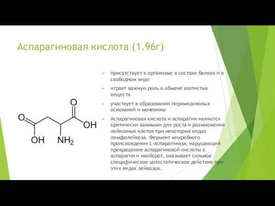 Аспарагиновая кислота (1.96г) присутствует в организме в составе белков и в