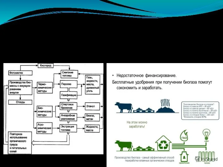 Биоэнергетика. Биоэнергетика - отрасль электроэнергетики, основанная на использовании биотоплива из различных