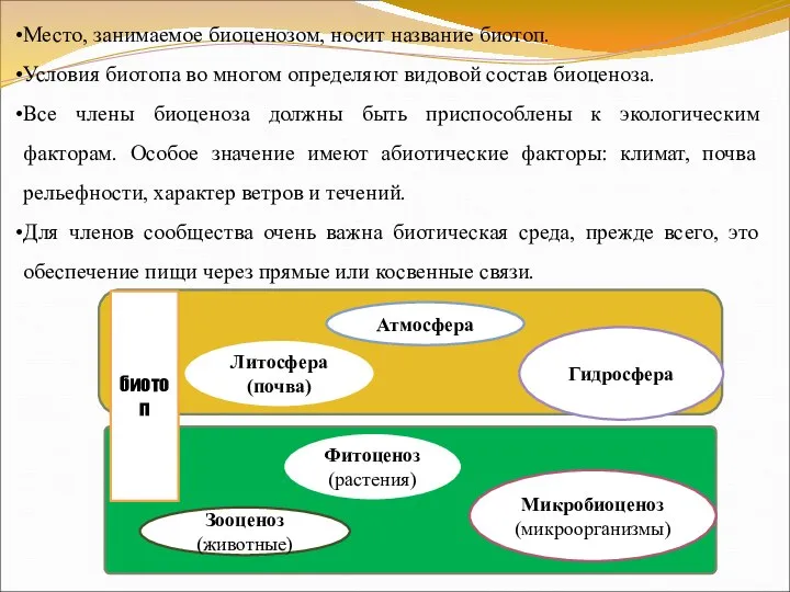 Атмосфера Литосфера (почва) Гидросфера биотоп Фитоценоз (растения) Зооценоз (животные) Микробиоценоз (микроорганизмы)