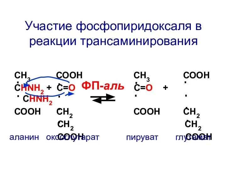 СН3 СООН СН3 СООН СНNH2 + C=О С=О + СНNH2 СООН