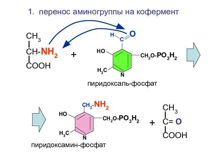 Н О С СН2О-РО3Н2 НО Н3С N СН2-NH2 СН2О-РО3Н2 НО Н3С