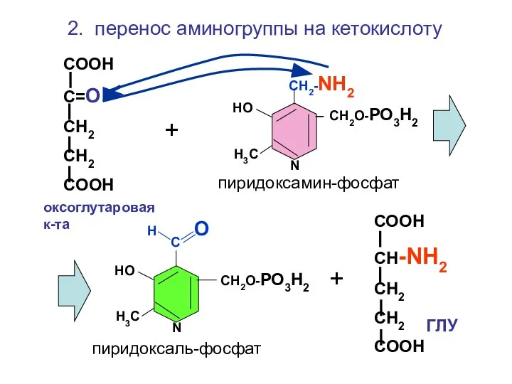 Н О С СН2О-РО3Н2 НО Н3С N СН2-NH2 СН2О-РО3Н2 НО Н3С