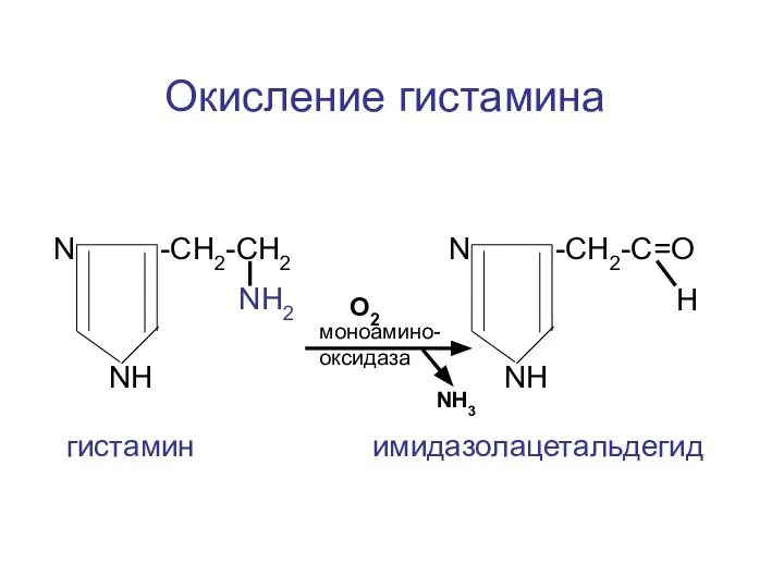 N -CH2-CH2 NH2 NH N -CH2-C=О Н NH моноамино-оксидаза гистамин имидазолацетальдегид Окисление гистамина NH3 O2