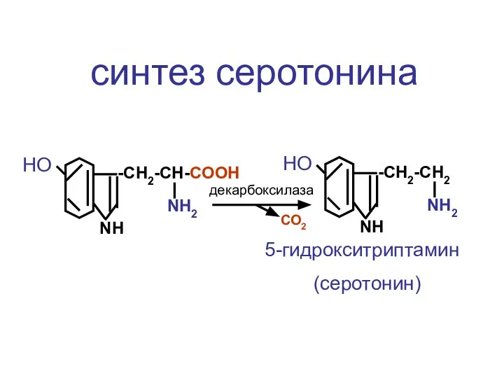 -CH2-CH-COOH NH2 NH НО -CH2-CH2 NH2 NH НО 5-гидрокситриптамин (серотонин) декарбоксилаза синтез серотонина СО2