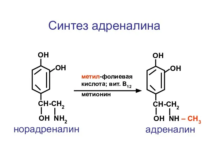 CH-CH2 ОН NH2 ОН ОН норадреналин CH-CH2 ОН NH – СН3