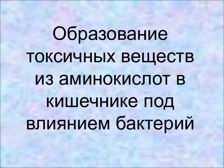 Образование токсичных веществ из аминокислот в кишечнике под влиянием бактерий