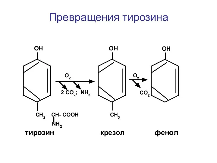 Превращения тирозина ОН СН2 – СН- СООН NН2 ОН СН3 ОН