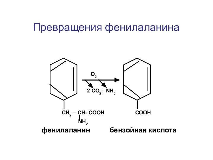 Превращения фенилаланина СН2 – СН- СООН NН2 СООН 2 СО2; NH3 O2 фенилаланин бензойная кислота