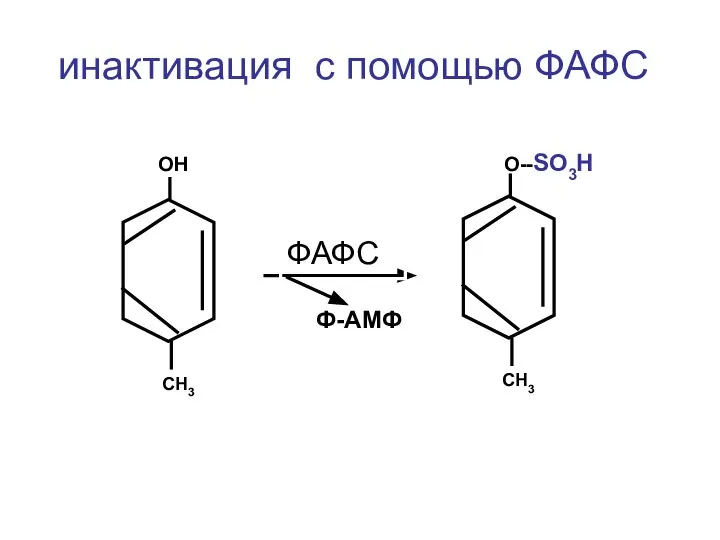 инактивация с помощью ФАФС ОН СН3 О--SO3H СН3 ФАФС Ф-АМФ