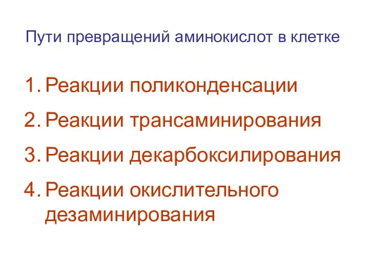 Пути превращений аминокислот в клетке Реакции поликонденсации Реакции трансаминирования Реакции декарбоксилирования Реакции окислительного дезаминирования