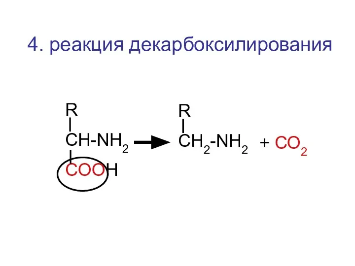 4. реакция декарбоксилирования R CH-NH2 COOH R CН2-NH2 + СО2