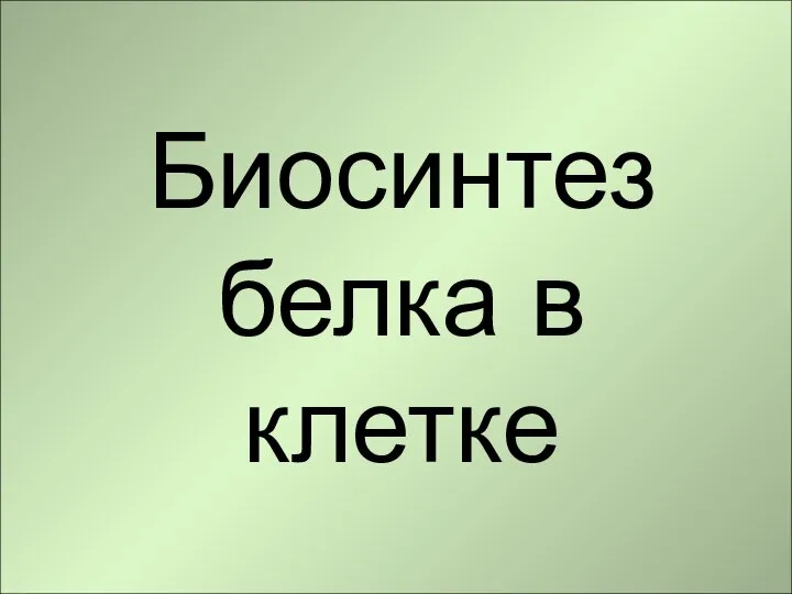 Биосинтез белка в клетке