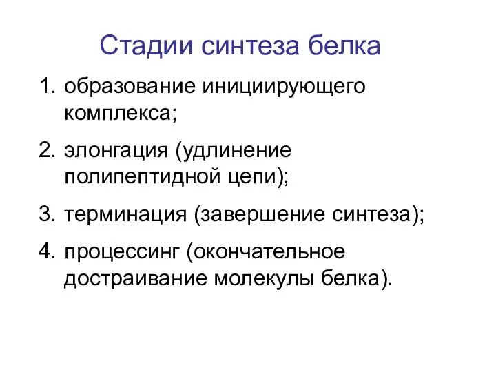 Стадии синтеза белка образование инициирующего комплекса; элонгация (удлинение полипептидной цепи); терминация