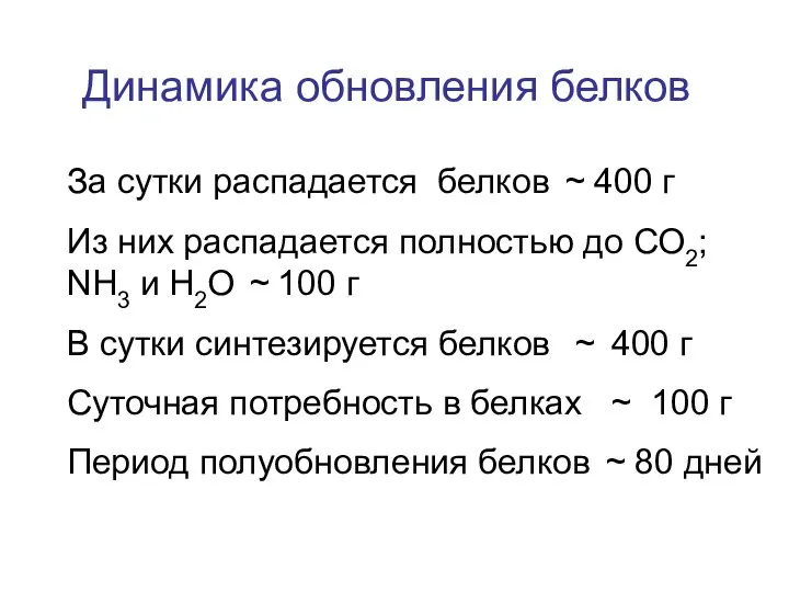 Динамика обновления белков За сутки распадается белков ~ 400 г Из