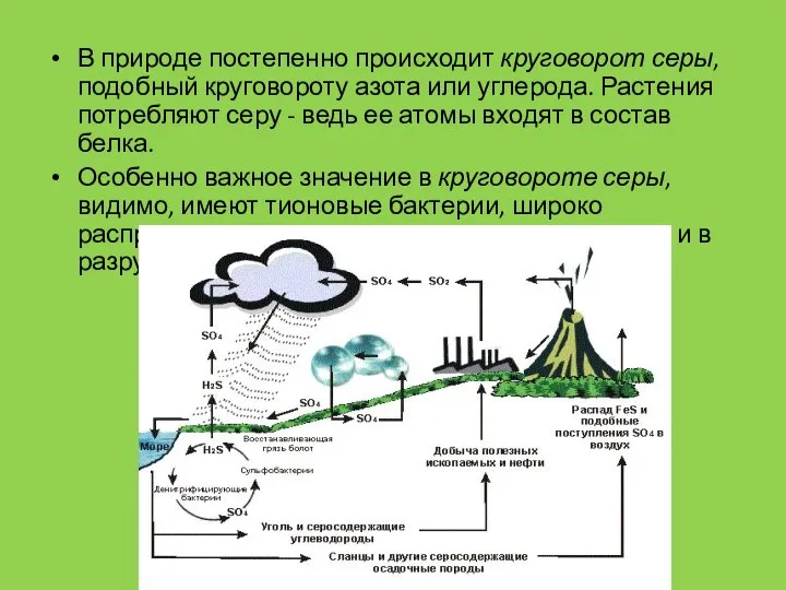 В природе постепенно происходит круговорот серы, подобный круговороту азота или углерода.