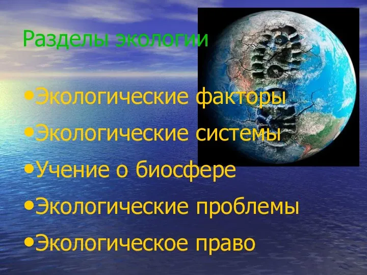 Разделы экологии Экологические факторы Экологические системы Учение о биосфере Экологические проблемы Экологическое право