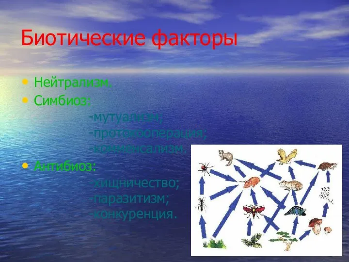 Биотические факторы Нейтрализм. Симбиоз: -мутуализм; -протокооперация; -комменсализм. Антибиоз: -хищничество; -паразитизм; -конкуренция.