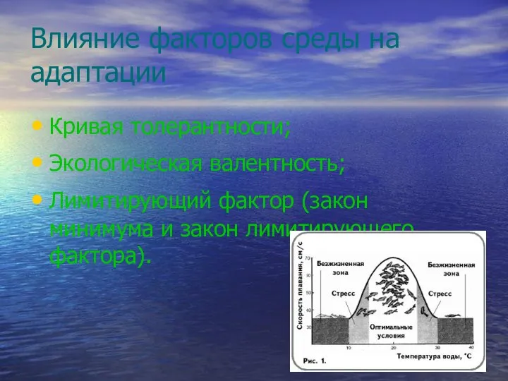 Влияние факторов среды на адаптации Кривая толерантности; Экологическая валентность; Лимитирующий фактор