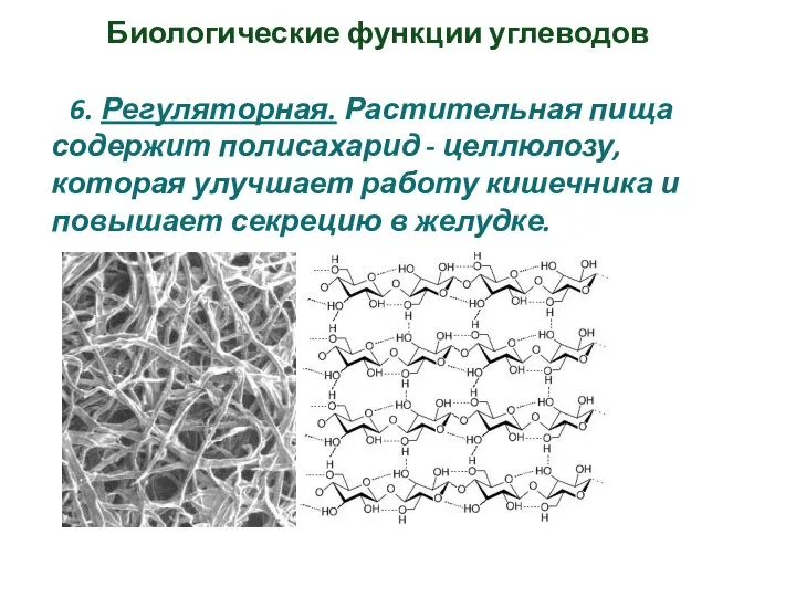 Биологические функции углеводов 6. Регуляторная. Растительная пища содержит полисахарид - целлюлозу,