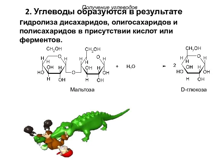 2. Углеводы образуются в результате гидролиза дисахаридов, олигосахаридов и полисахаридов в