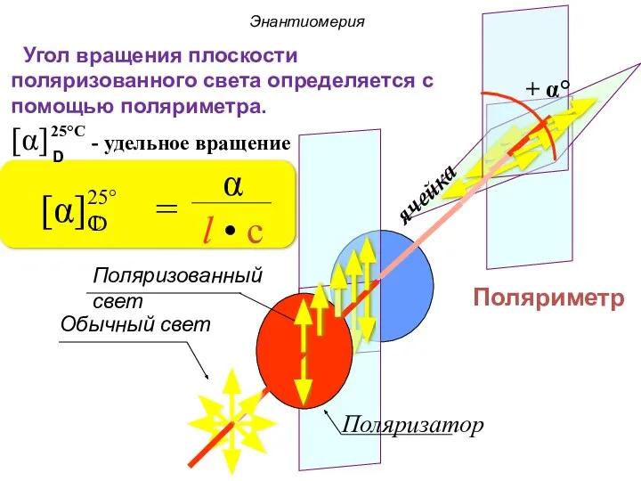 ячейка Поляриметр Угол вращения плоскости поляризованного света определяется с помощью поляриметра.