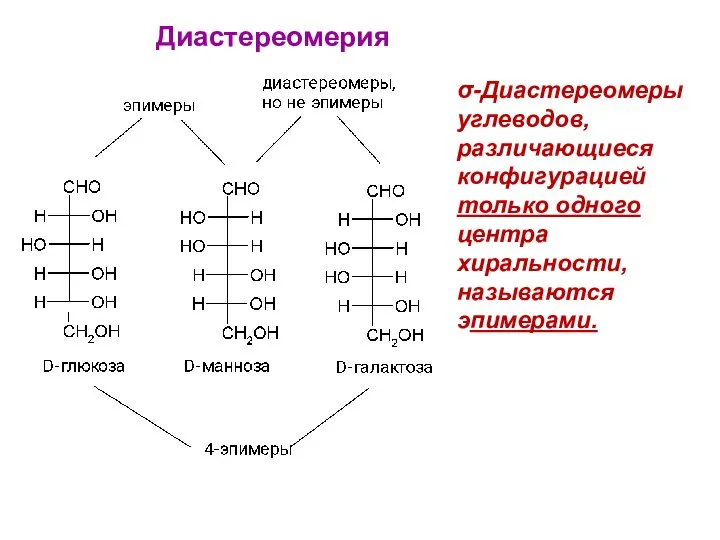 Диастереомерия σ-Диастереомеры углеводов, различающиеся конфигурацией только одного центра хиральности, называются эпимерами.