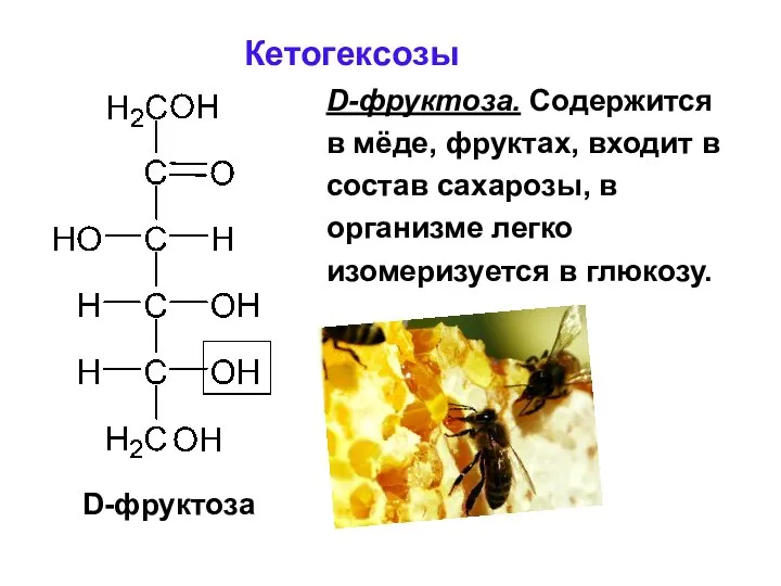 Кетогексозы D-фруктоза. Содержится в мёде, фруктах, входит в состав сахарозы, в