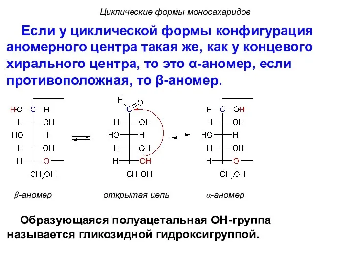 β-аномер открытая цепь α-аномер Циклические формы моносахаридов Если у циклической формы