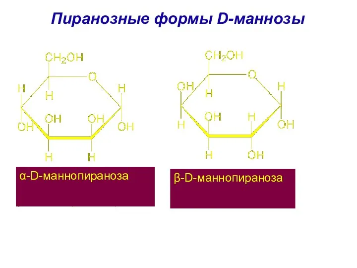 Пиранозные формы D-маннозы α-D-маннопираноза β-D-маннопираноза