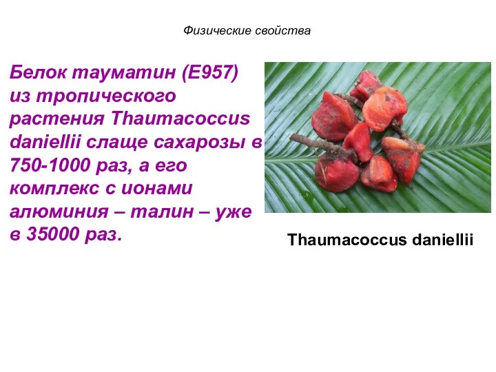 Белок тауматин (E957) из тропического растения Thaumacoccus daniellii слаще сахарозы в