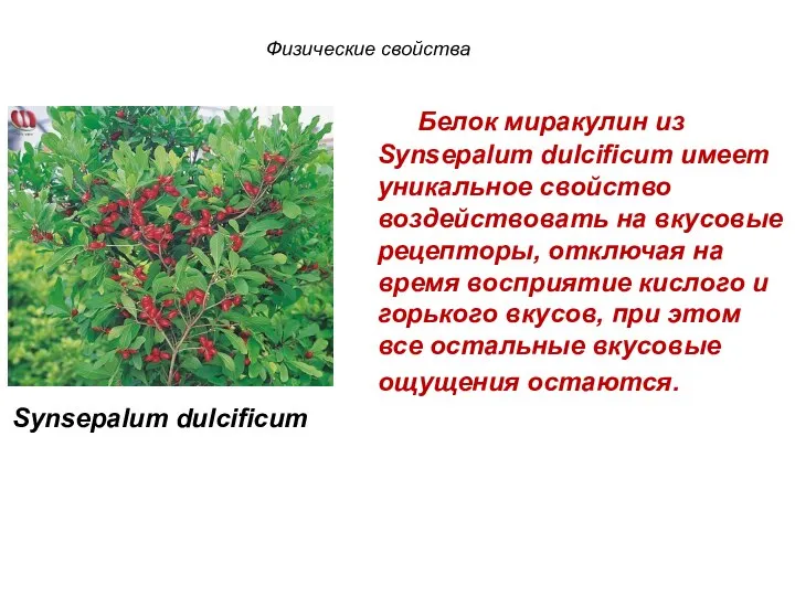 Белок миракулин из Synsepalum dulcificum имеет уникальное свойство воздействовать на вкусовые