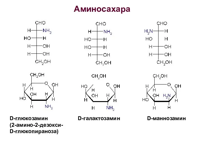 Аминосахара D-глюкозамин D-галактозамин D-маннозамин (2-амино-2-дезокси- D-глюкопираноза)