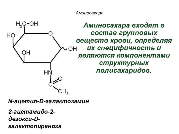 N-ацетил-D-галактозамин 2-ацетамидо-2-дезокси-D-галактопираноза Аминосахара Аминосахара входят в состав групповых веществ крови, определяя