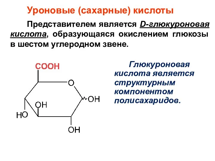 Уроновые (сахарные) кислоты Представителем является D-глюкуроновая кислота, образующаяся окислением глюкозы в
