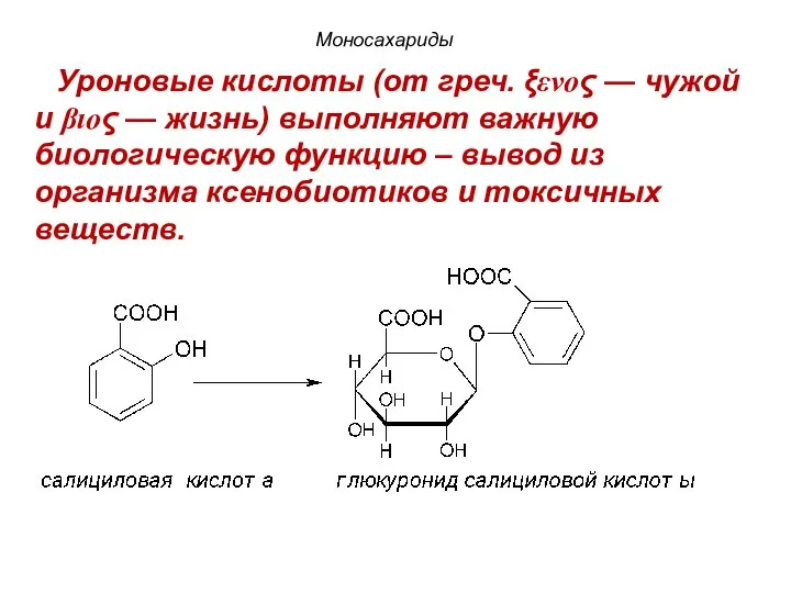 Моносахариды Уроновые кислоты (от греч. ξενος — чужой и βιος —