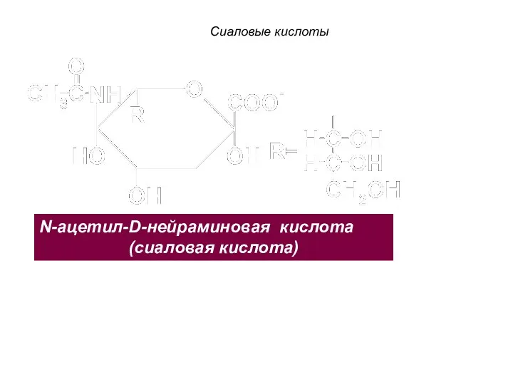 Сиаловые кислоты N-ацетил-D-нейраминовая кислота (сиаловая кислота)