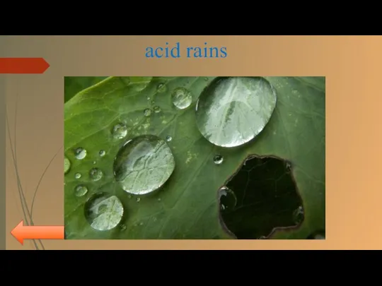 myroslava acid rains