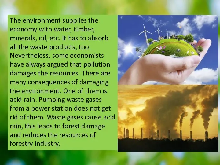 The environment supplies the economy with water, timber, minerals, oil, etc.