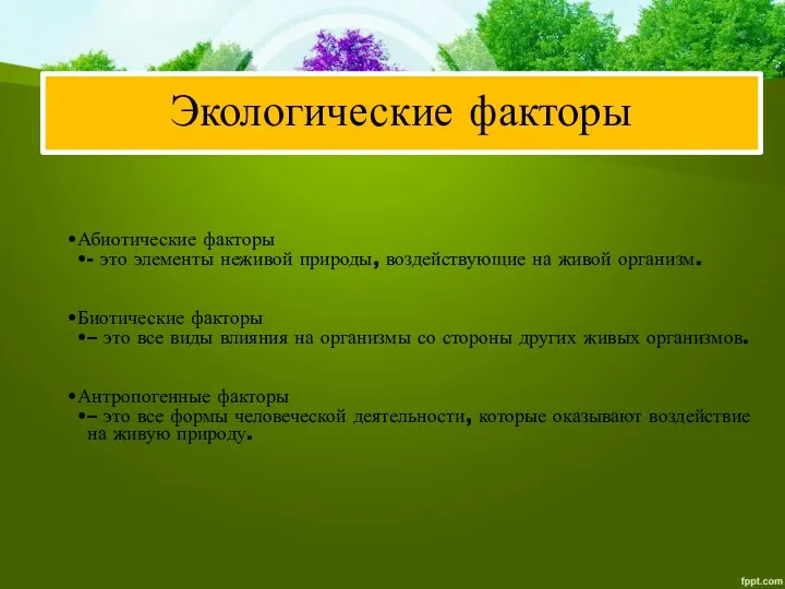 Экологические факторы Абиотические факторы - это элементы неживой природы, воздействующие на