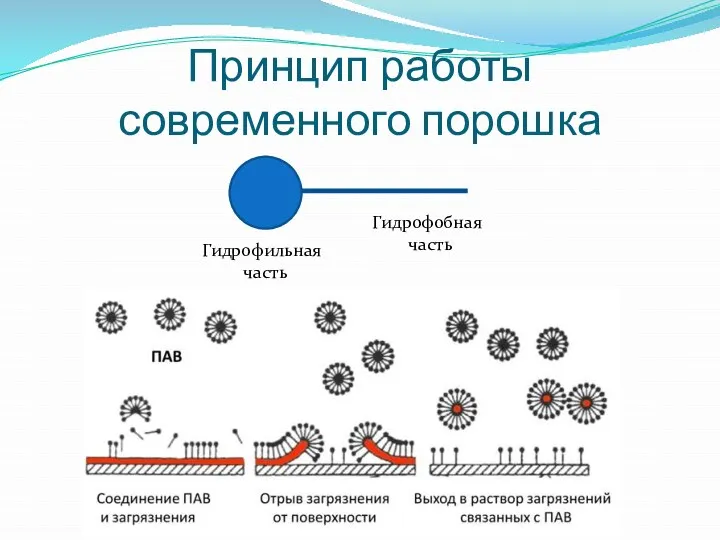 Принцип работы современного порошка