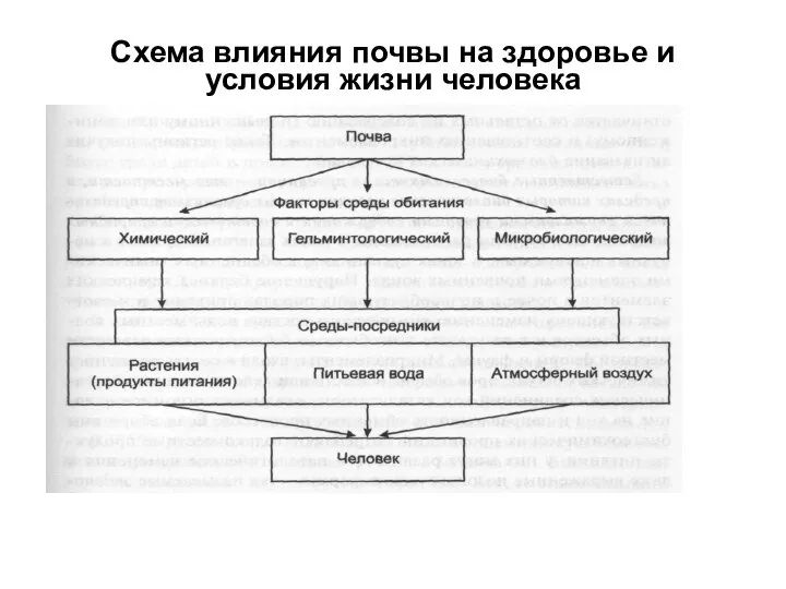 Схема влияния почвы на здоровье и условия жизни человека