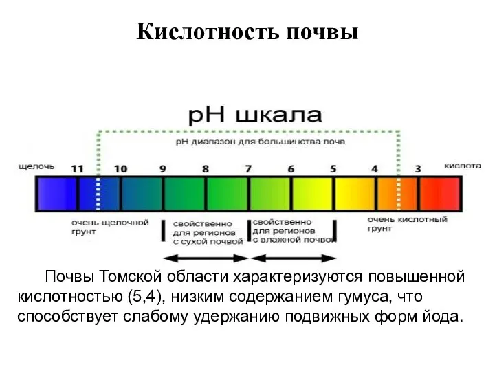 Кислотность почвы Почвы Томской области характеризуются повышенной кислотностью (5,4), низким содержанием