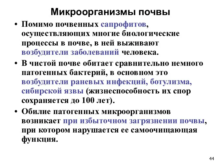 Микроорганизмы почвы Помимо почвенных сапрофитов, осуществляющих многие биологические процессы в почве,