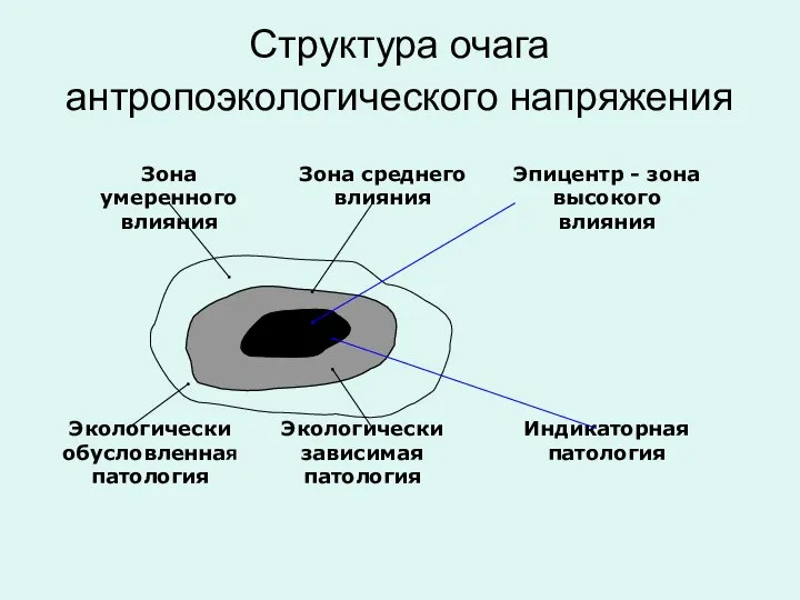 Структура очага антропоэкологического напряжения