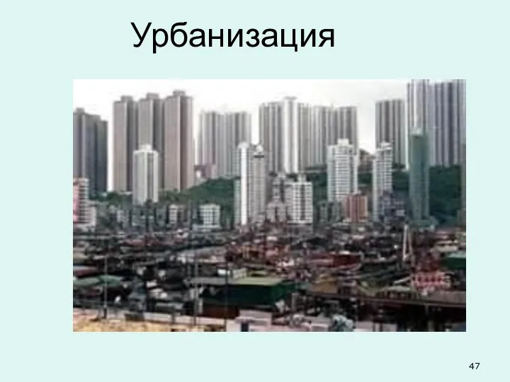 Урбанизация