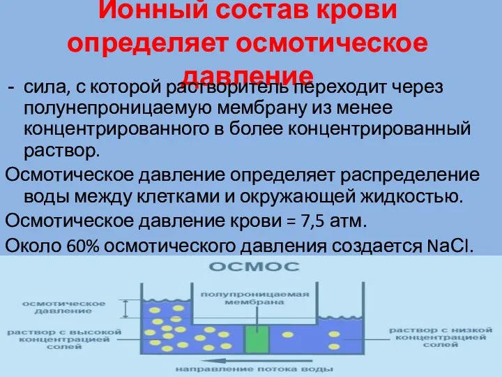 Ионный состав крови определяет осмотическое давление сила, с которой растворитель переходит