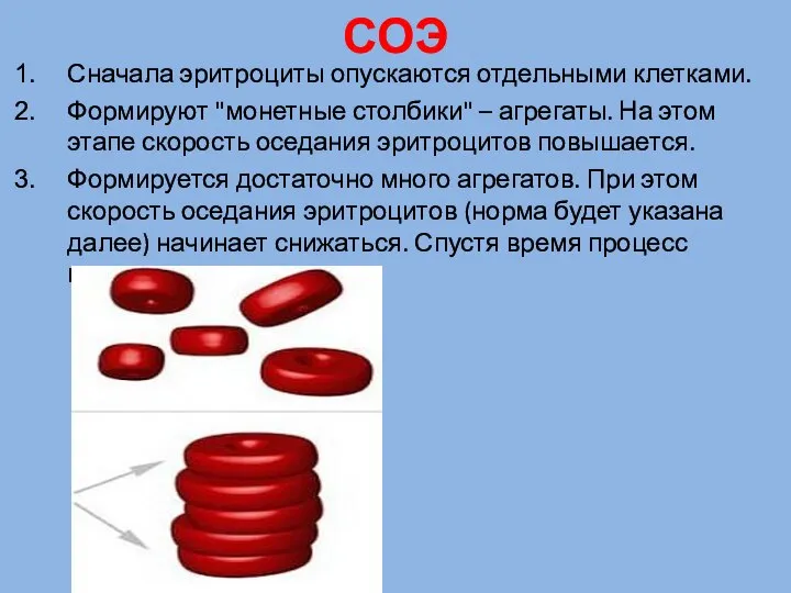 СОЭ Сначала эритроциты опускаются отдельными клетками. Формируют "монетные столбики" – агрегаты.